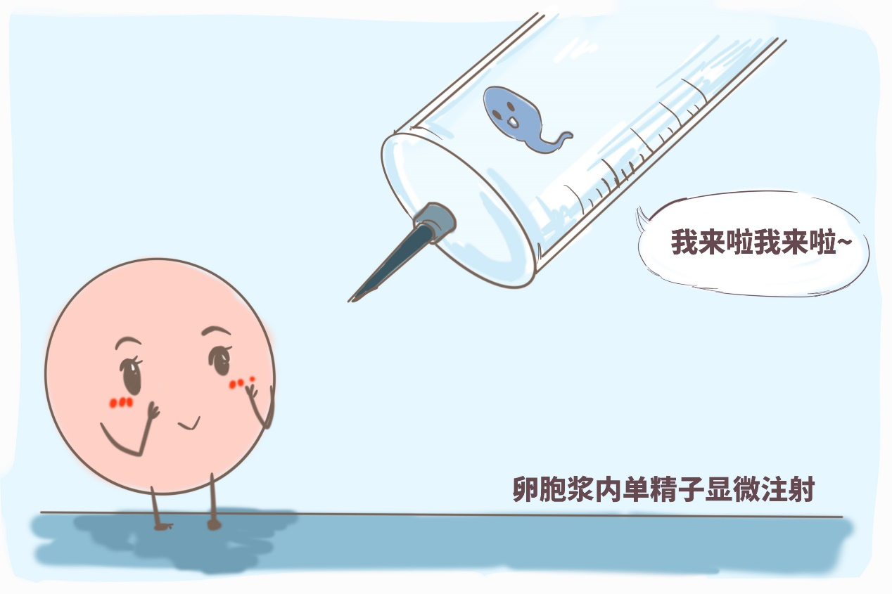 4周b超可以看到吗 4周做b超能看到孕囊吗